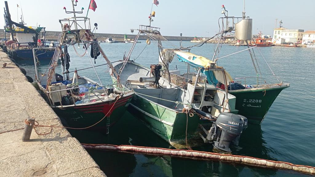 Las redes de deriva de Marruecos siguen amenazando el Mediterráneo